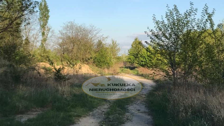 Działka Sprzedaż Gorzów Wielkopolski
