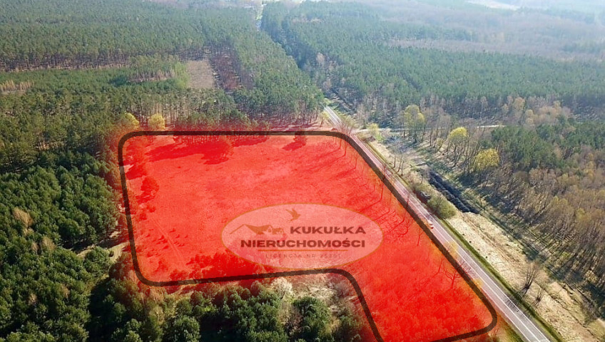 Działka Sprzedaż Krzeszyce