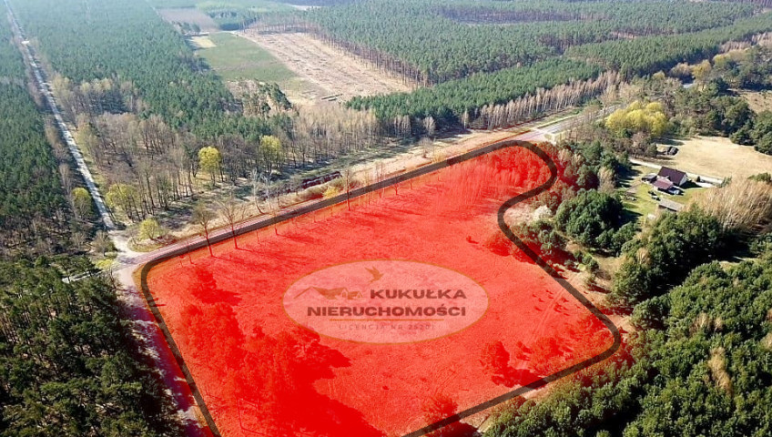 Działka Sprzedaż Krzeszyce
