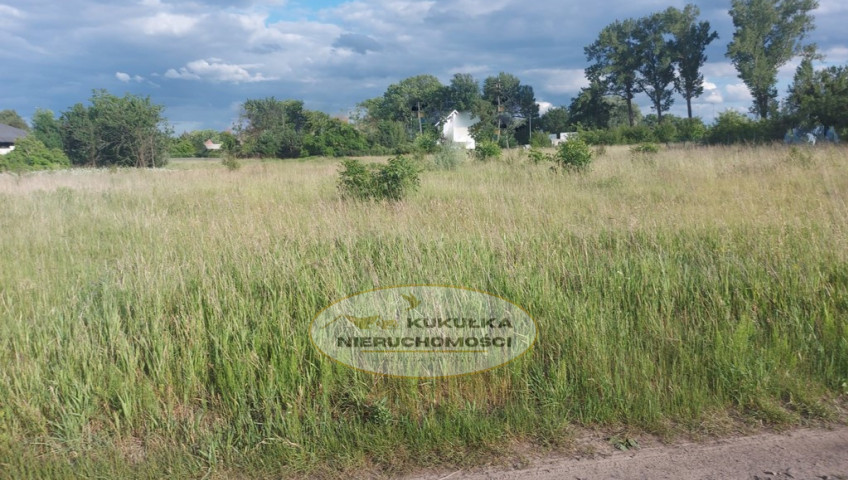Działka Sprzedaż Gorzów Wielkopolski Zieleniec