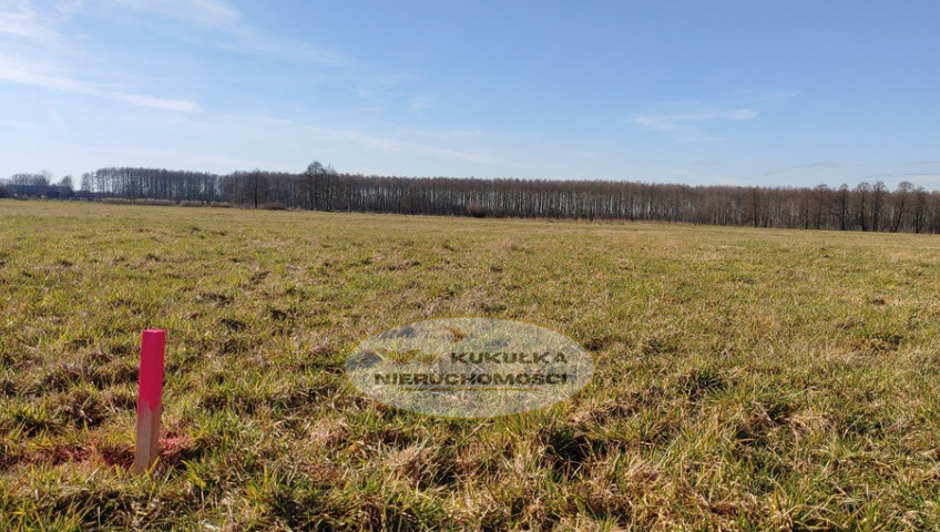 Działka Sprzedaż Bolemin