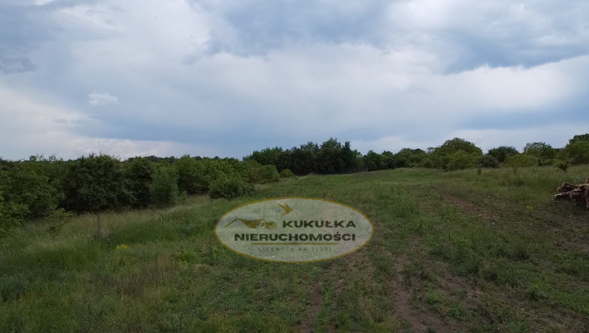 Działka Sprzedaż Myślibórz