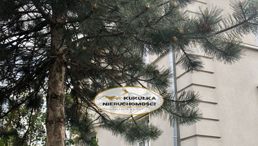 Mieszkanie Sprzedaż Gorzów Wielkopolski os. Piaski